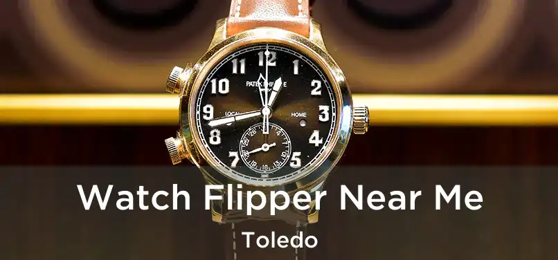  Watch Flipper Near Me Toledo